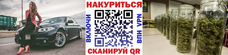 Купить где  Карпинск  Марихуана сатива 